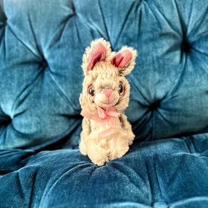 Childhood bunny looking for a home!
